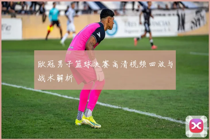 欧冠男子篮球决赛高清视频回放与战术解析