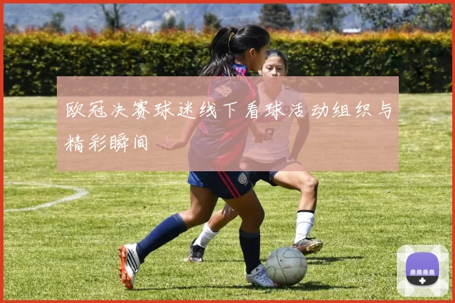 欧冠决赛球迷线下看球活动组织与精彩瞬间